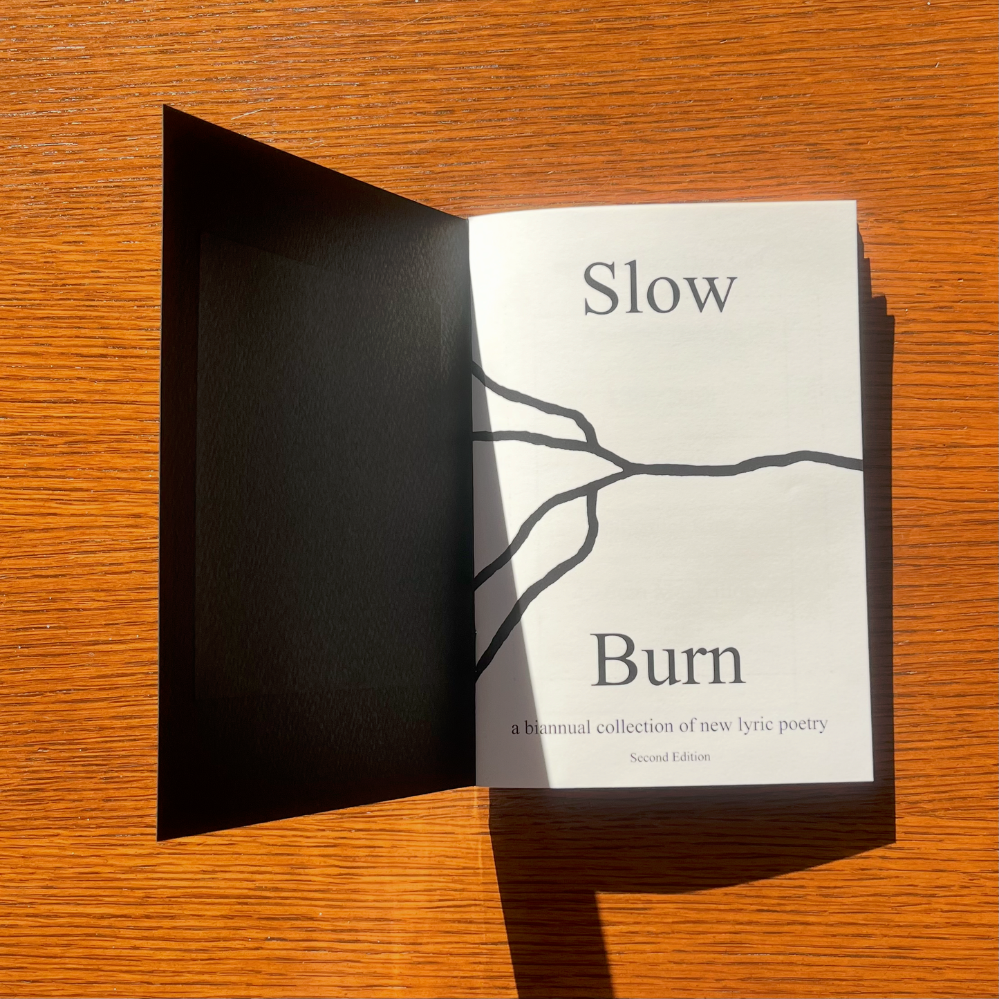 Slow Burn - Second Edition
