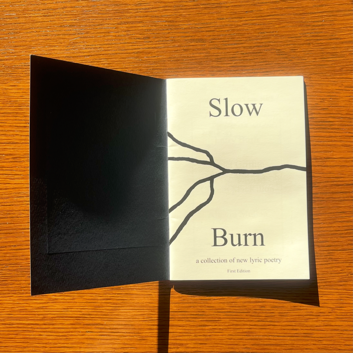 Slow Burn - First Edition