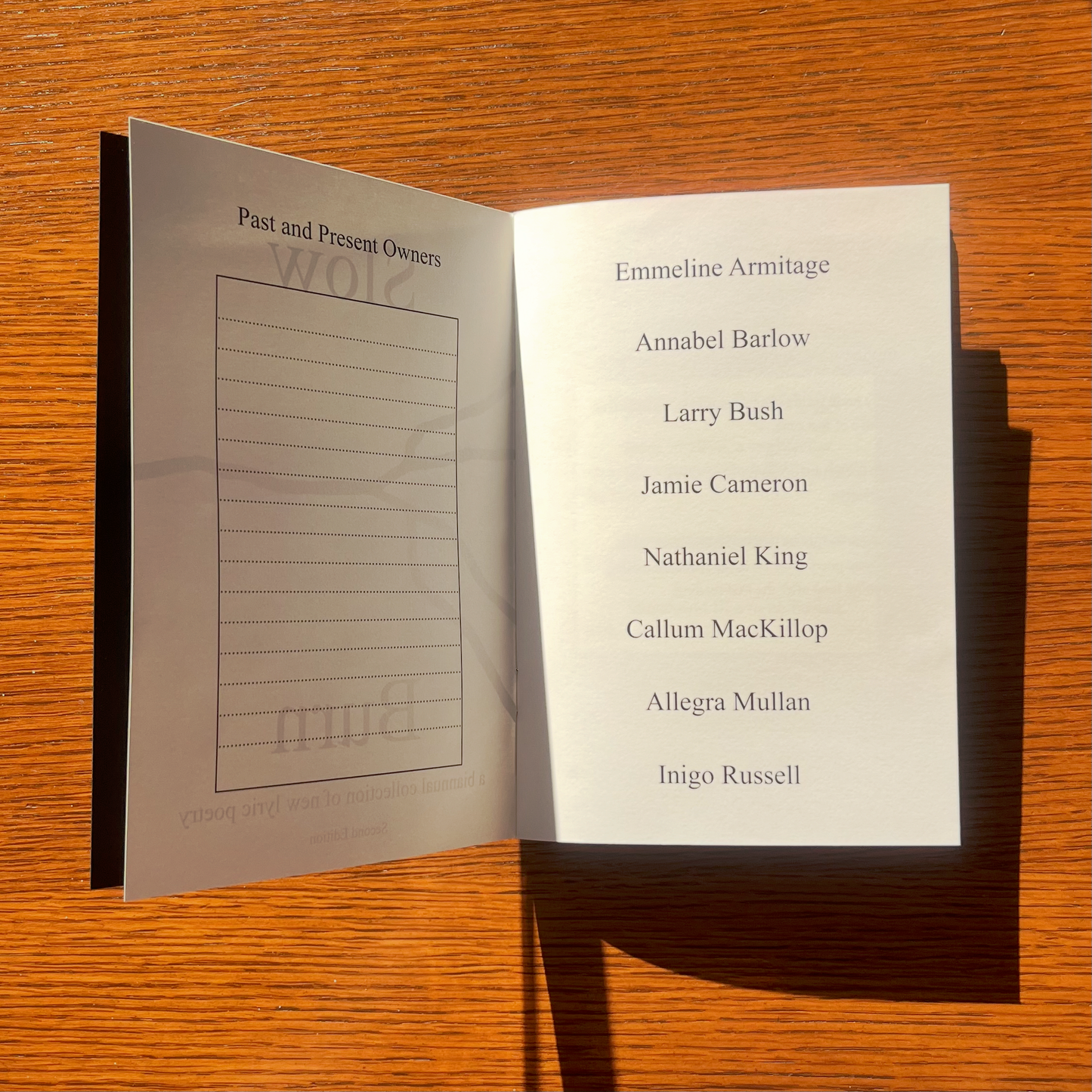 Slow Burn - Second Edition