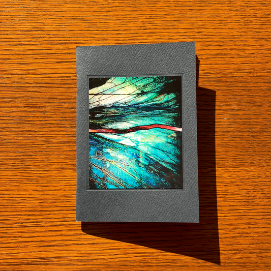 Slow Burn - First Edition