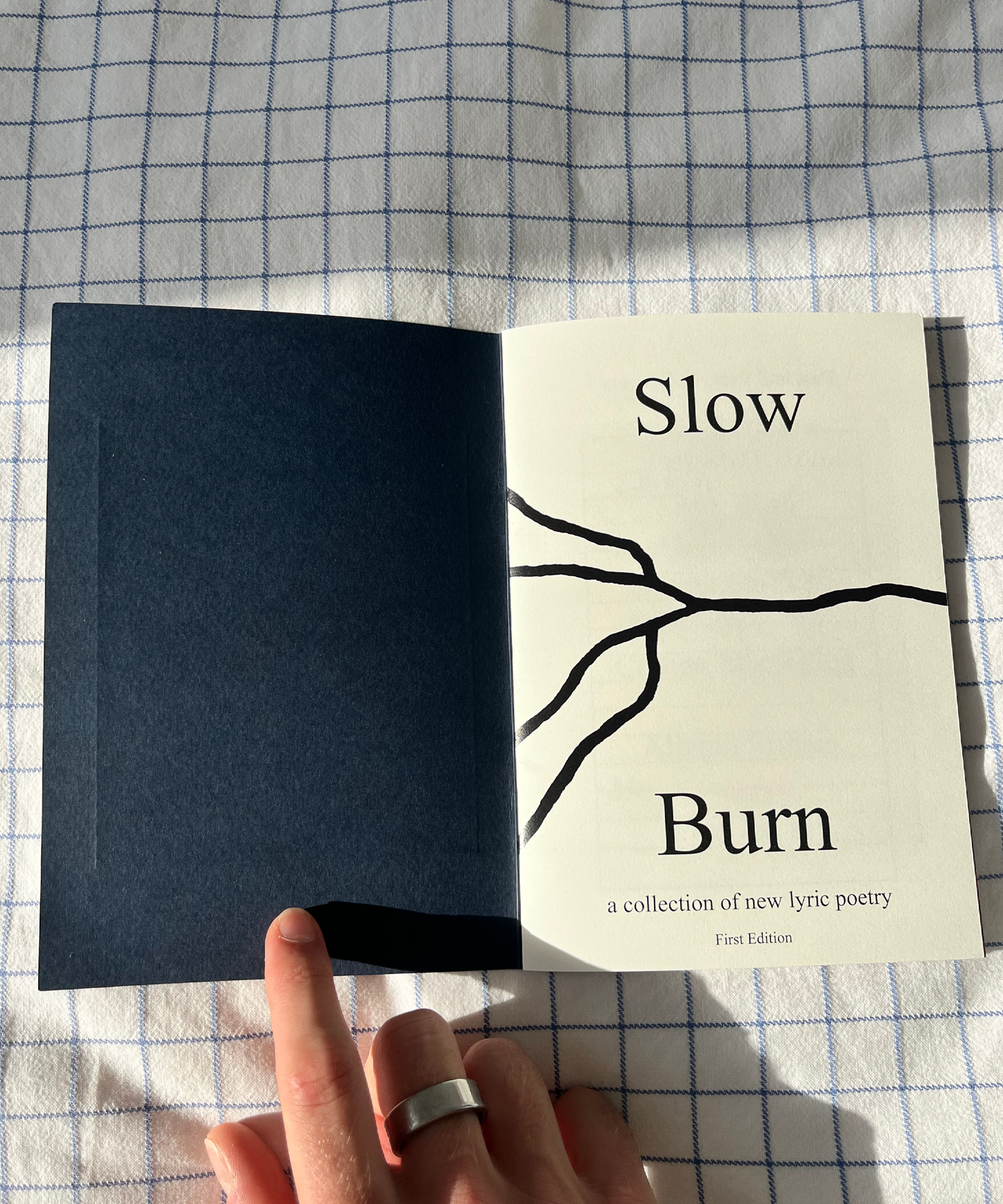 Slow Burn - First Edition